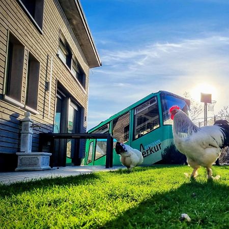 Exklusives Holzhaus Mit Bergbahn - Baden-Baden Im Schwarzwald别墅 外观 照片