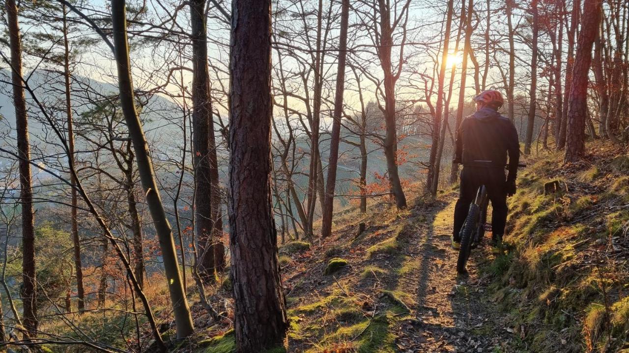 Exklusives Holzhaus Mit Bergbahn - Baden-Baden Im Schwarzwald别墅 外观 照片